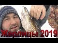 Жерлицы 2019 Отчёт за 08.01.2019