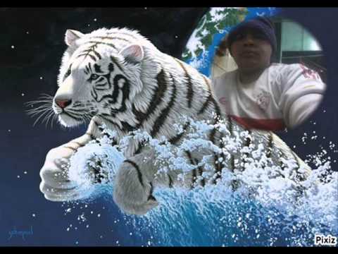 مهرجان ام الحنة Mp3 