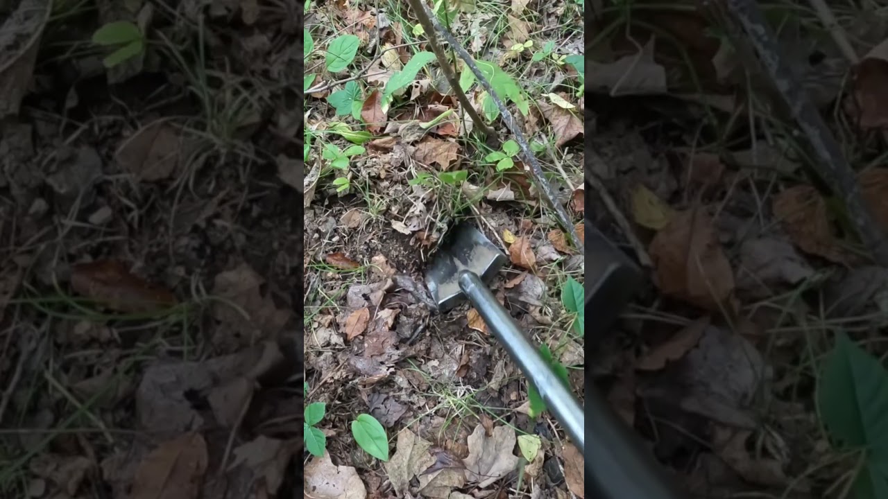 Короткий заметка № 195 - Находка для собак. Поиск металла с помощью металлоискателя Nokta Makro S...