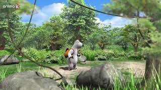 Bernard bear - Adventure|forest camping||