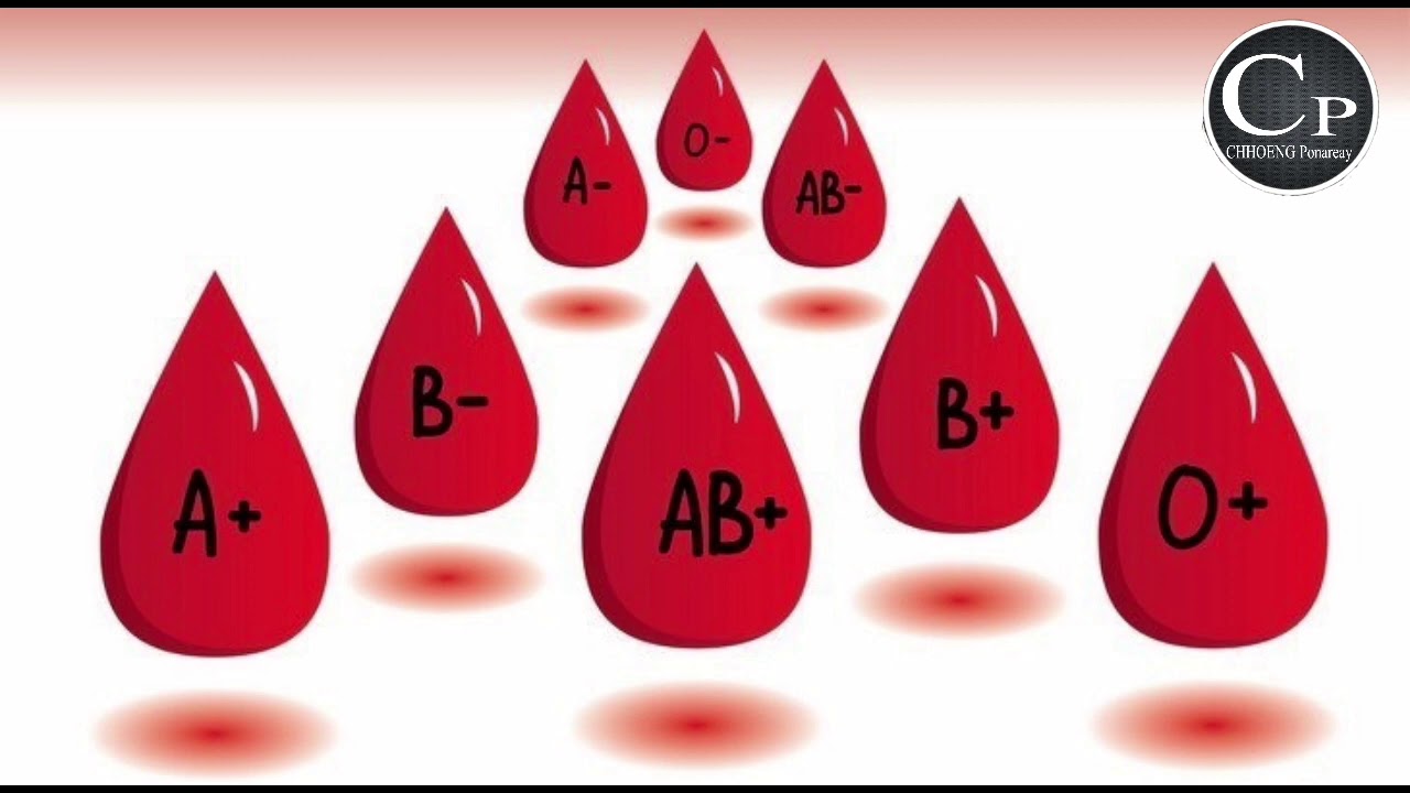 By Whom Was The Blood By Whom Was The Blood
