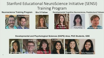Connecting education and neuroscience in understanding functional human brain development