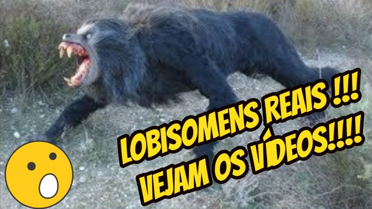 LOBISOMEM 7 VIDEOS REAIS CAPTURADOS POR CÂMERAS YouTube LOBISOMEM 7 VIDEOS REAIS CAPTURADOS POR CÂMERAS YouTube