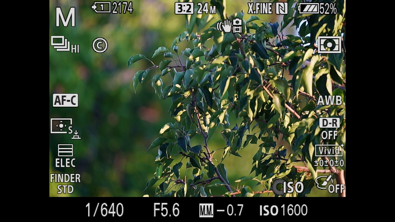 Sony FE 400mm f/2.8 GM Real time EVF AF