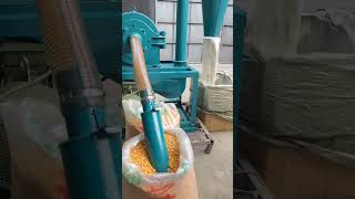 Corn Grinder | Cattle Feed Grinding Machine | Masala Mill #2025 #machine
