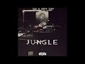 Gsi x zmp1316  jungle