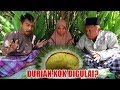 ADA DURIAN MUDA JATUH! KITA GULAI AJA DEH!