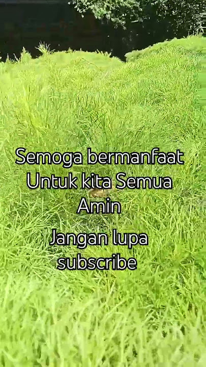 Amin Ya Robalalamin🤲🤲