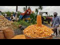 sweet corn harvesting video