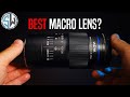 Laowa 100mm f/2.8 2x Ultra Macro APO Full Review | Best Macro Lens?