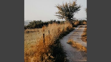 You Sure Look Like You Could Use a Whiskey