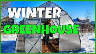 Winter Greenhouse Growing