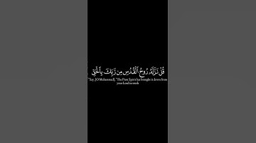 سورة النحل ياسر الدوسري #سورة #سورة_النحل #القرآن_الكريم #راحة_نفسية #shots #اكسبلور