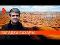 Загадка Сахары. НИИ РЕН ТВ (27.05.2019).