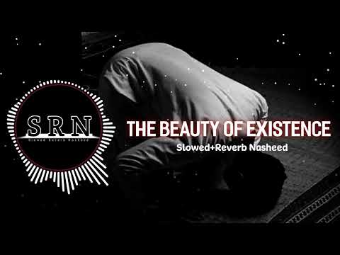 The Beauty Of