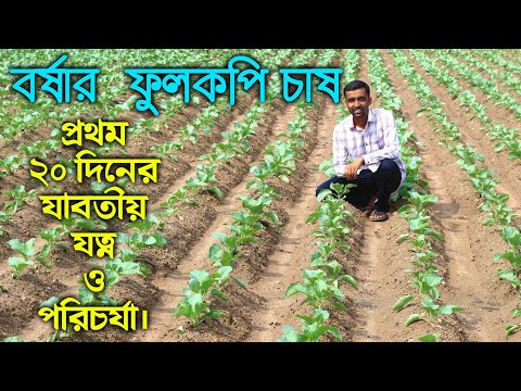 ভিডিও: চীনামাটির বাসন পাথরের 1 m2 ওজন। চীনামাটির বাসন পাথরের পাত্রের বৈশিষ্ট্য এবং বৈশিষ্ট্য