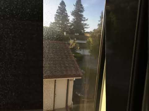 How to clean outside of window pane without removing screen