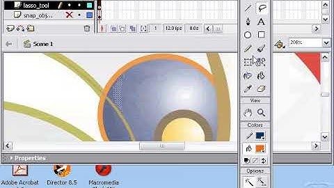 Adobe macromedia Flash Mx lassotool urdu / hindi  tutorial