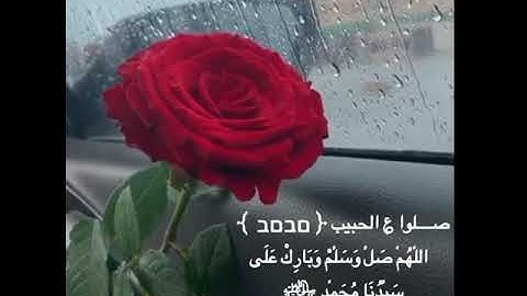حالات واتس اب يوم الجمعه ❤ مقاطع قران انستقرام //ستوريات //آيات قرانيه //بدون حقوق