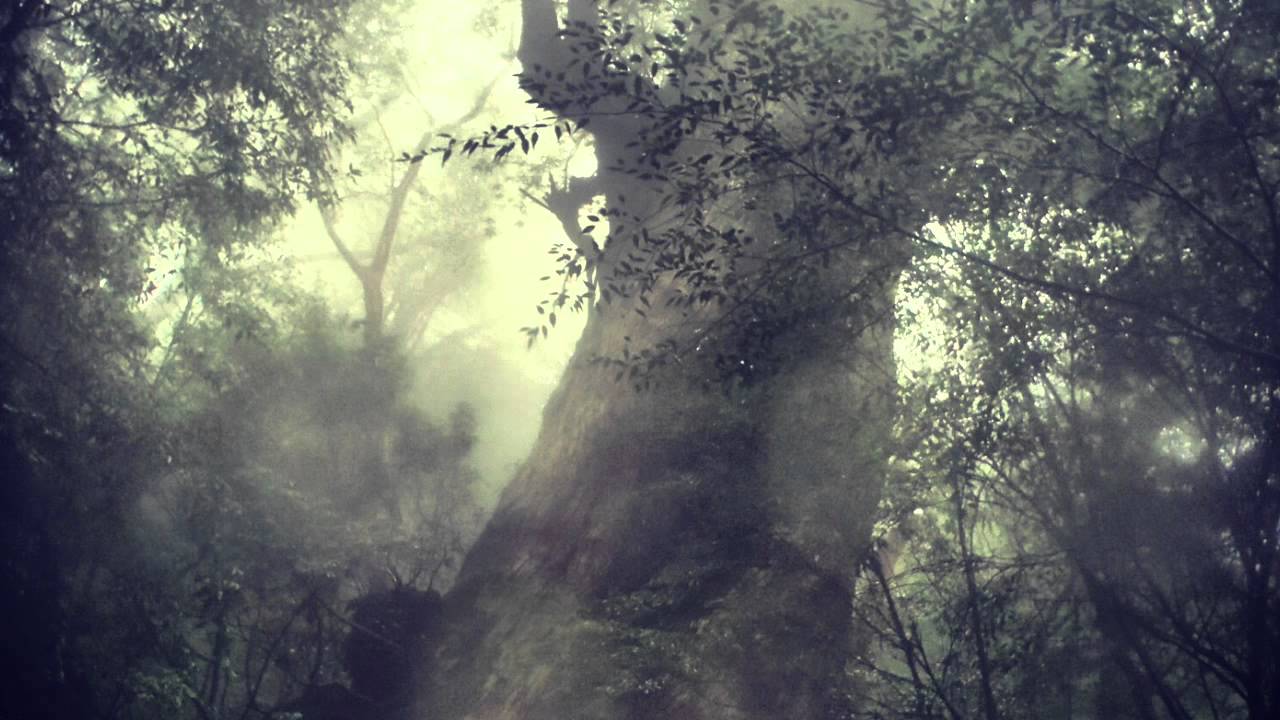 Kuniyuki Takahashi - Ocean Waves (Minilogue Dream Drone Remix)