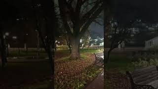 Александровский сад ☔Киров.
