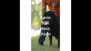 Import Kevin Von Haus Drazic
