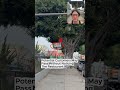The Tree Was Blocking the Restaurant Sign. Here's What We Found.