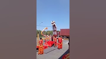 Lân Lên Mai Hoa Thung | Chung Huy Đường | #Short