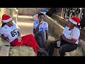 HOW TO START DAIRY FARMING