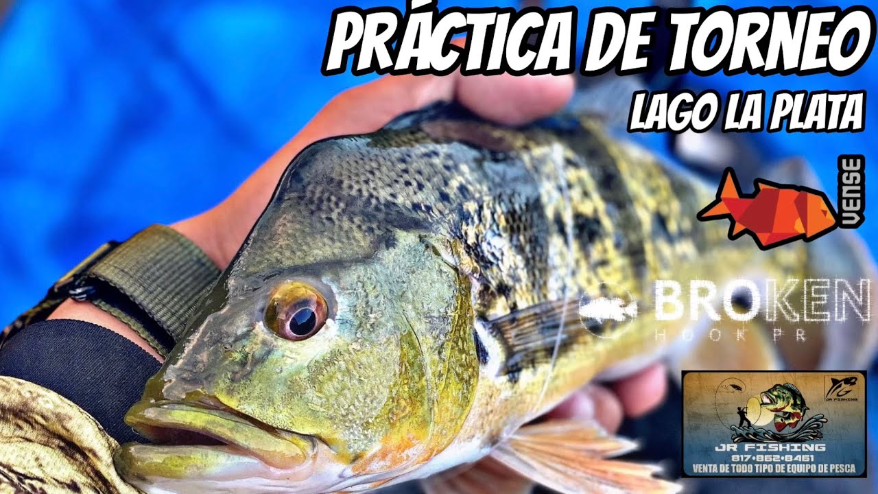 Pesca de Tucunare en Lago La plata. Practicando para el torneó