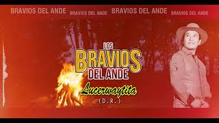 Video thumbnail of "BRAVIOS DEL ANDE / LUCERWAYTITA (D.R.) / TORIL - Ⓐudio."