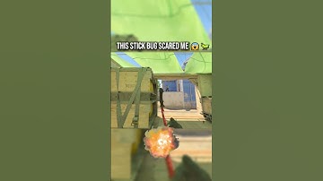 CS2 IS INFESTED WITH BUGS #csgo #cs2 #gaming #counterstrike #cs2clips #csgoclips #faceit #cs2funny