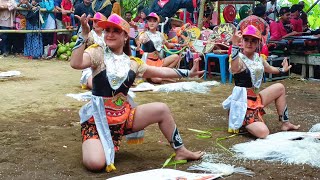 BIKIN PENONTON GAK MAU PULANG - Turonggo Putri Jakima TTB