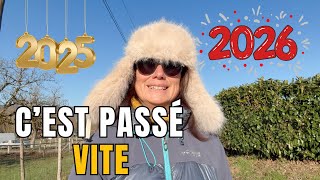 I Never Imagined Id Be Living Like This In 2025 Solo In A Campervan