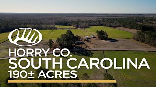Horry County, SC 190± Acres