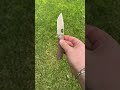 Honey Badger Tanto