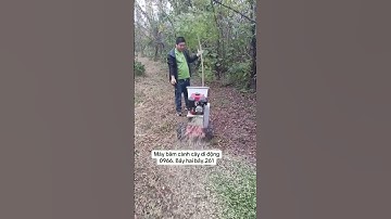 Máy băm cành cây di động #maybamcanh #xh #trend #thinhhanhtiktok #shortvideo #shorts #xhuong #short