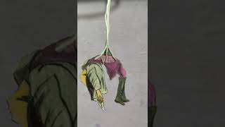 #Trendy spider death scene #art #colour #diy #pencil #love #sad