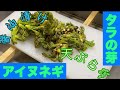 【北海道】タラの芽、アイヌネギを天ぷらにしてみた