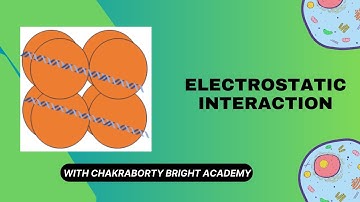 Electrostatic Interaction