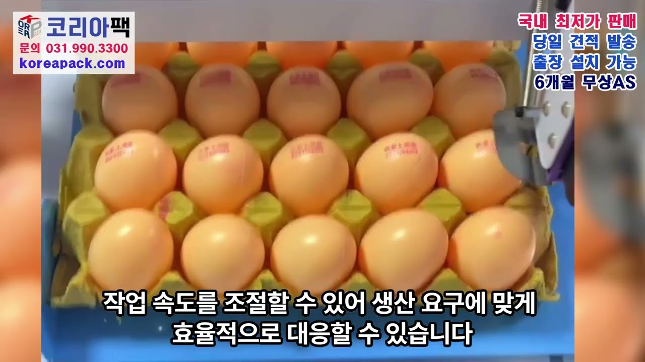 [P836] 달걀 반자동 코딩기(날짜 날인)