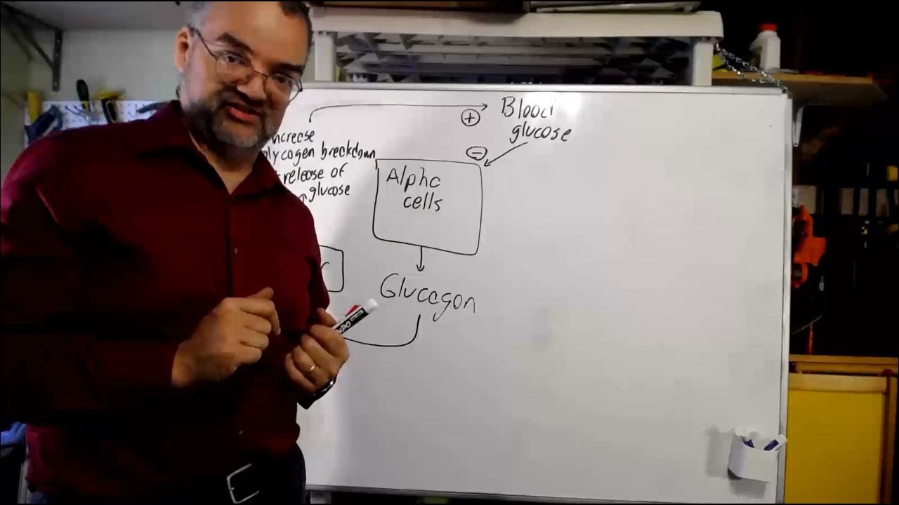 Lecture ES-2b - YouTube