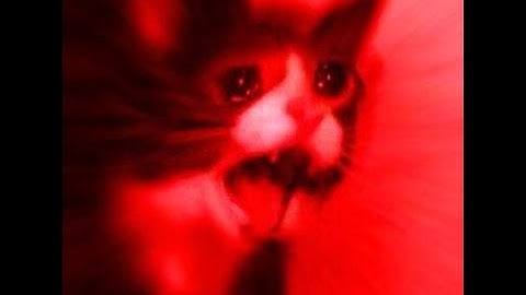 ruthless hc rip clip