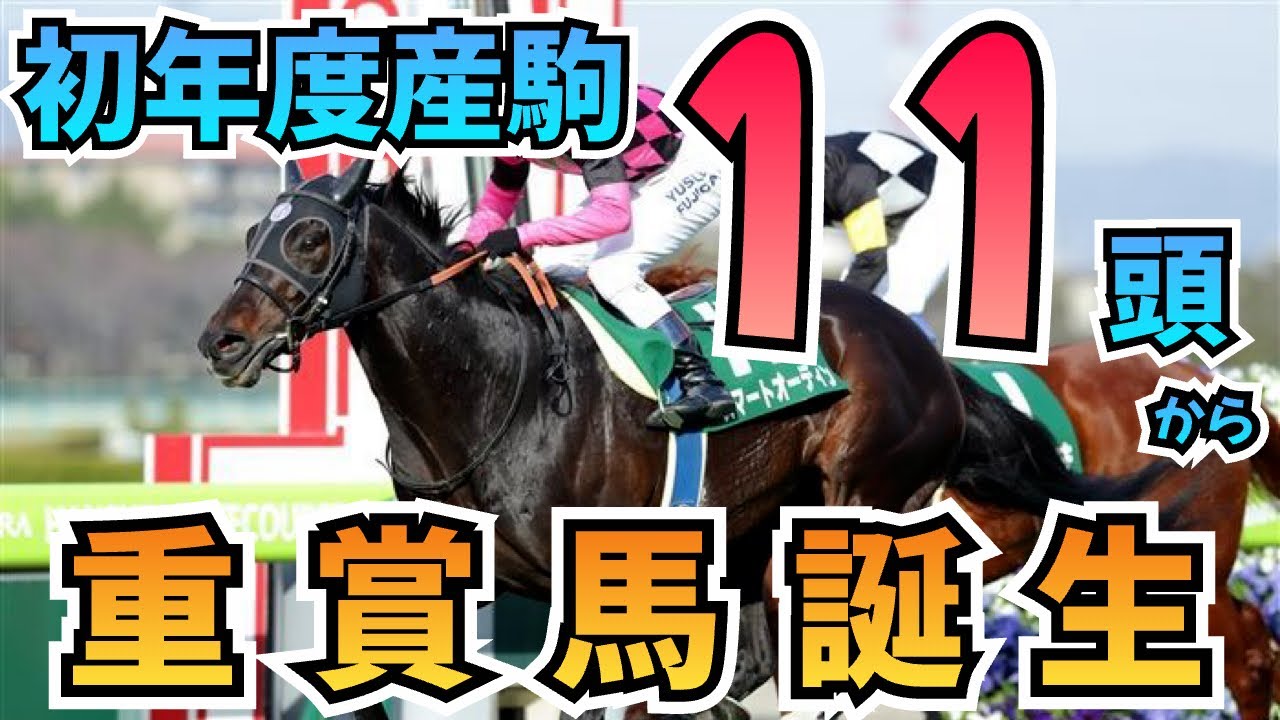 セリ⭐︎ Feat Achieved] Only 11 Foals in His First Crop! Stakes-Winning