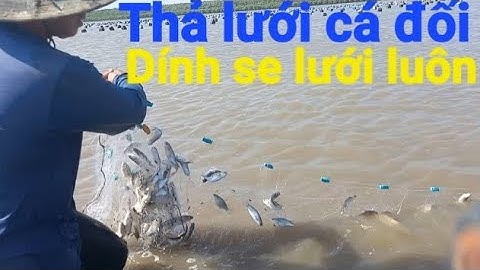 Hai anh em đi thả lưới cá đối dính se lưới luôn cả nhà ơi