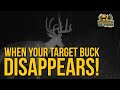 When your target buck disappears!