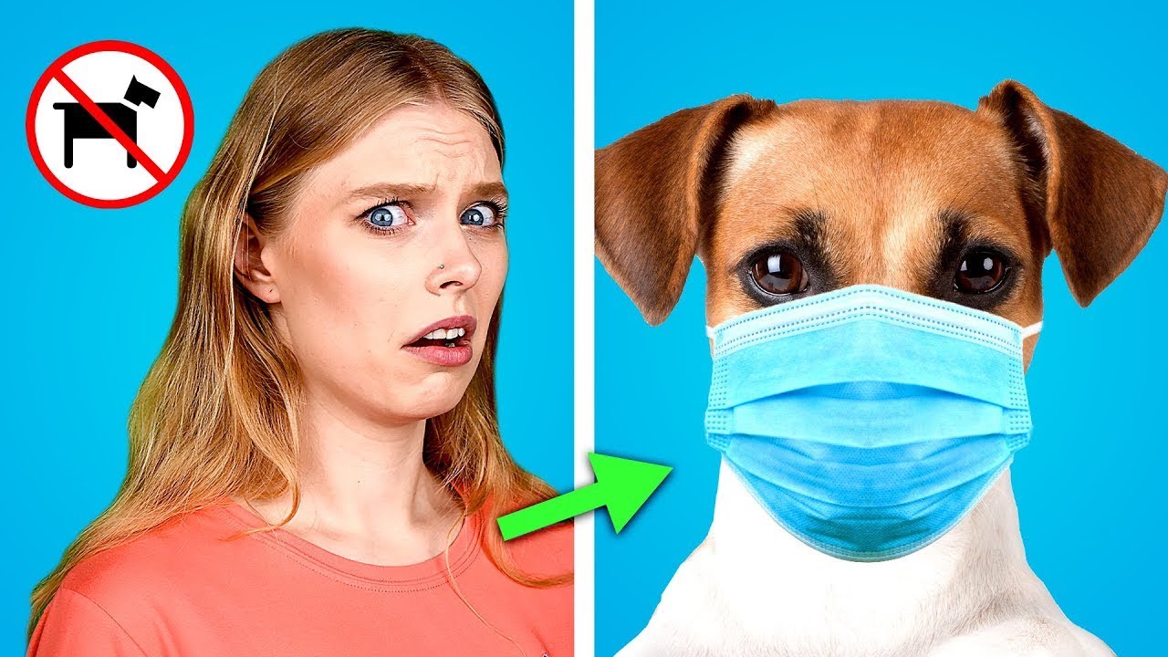 SNEAK PETS Into the MOVIES || Ways to Sneak PETS! Funny Pet Pranks & Hacks by Hungry Panda