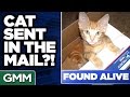 8 Weirdest Things Sent By Mail