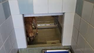 acs A678333