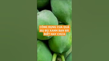 CÔNG DỤNG CỦA QUẢ ĐU ĐỦ XANH BẠN ĐÃ BIẾT HAY CHƯA